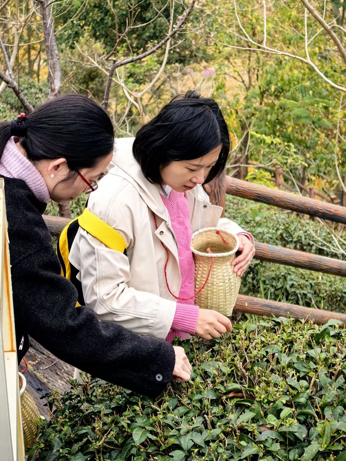 96F323F259481E3DCE8C52FAF1A_9844F4BF_8C23E 96F323F259481E3DCE8C52FAF1A_9844F4BF_8C23E