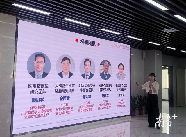 ����ģ���о�Ժ��ӵ��5֧�Ŷ���������������ѧ�����Ϻ�����������֣���ĵ�����ҽҩ����Ȩ��ר����������