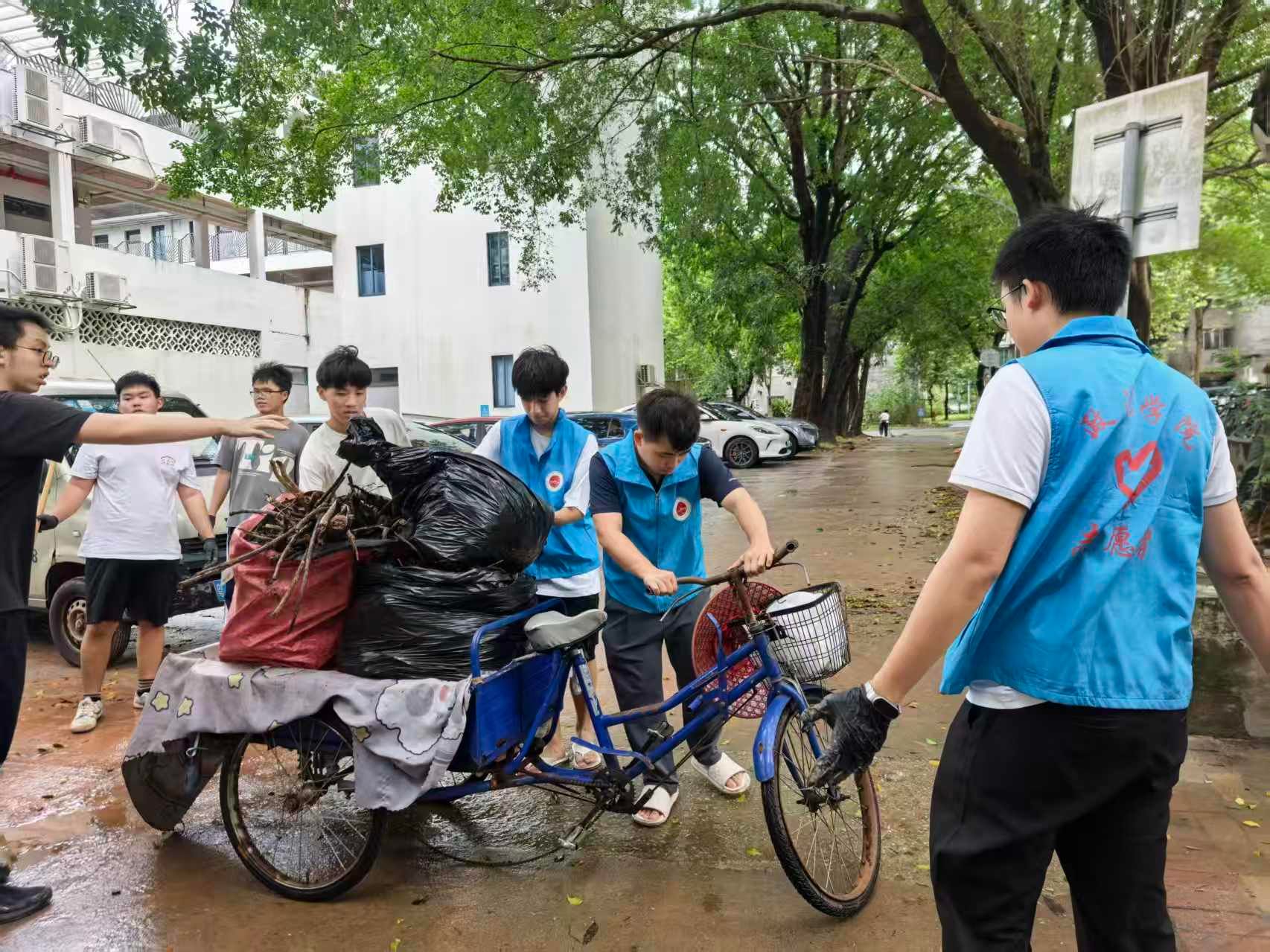 6E990136F0B7526452804E6EEC5_88E15F3D_59BD9