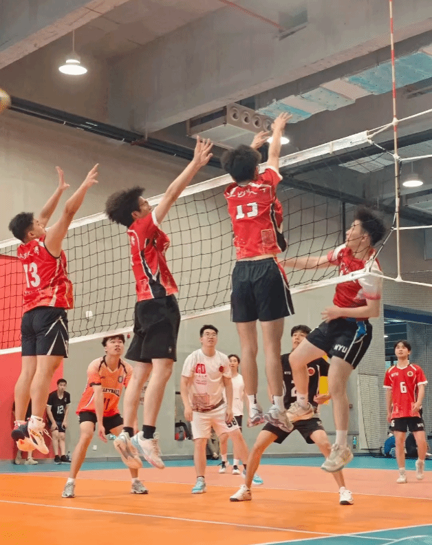 Ҽ������app����(�й�)�ٷ�������