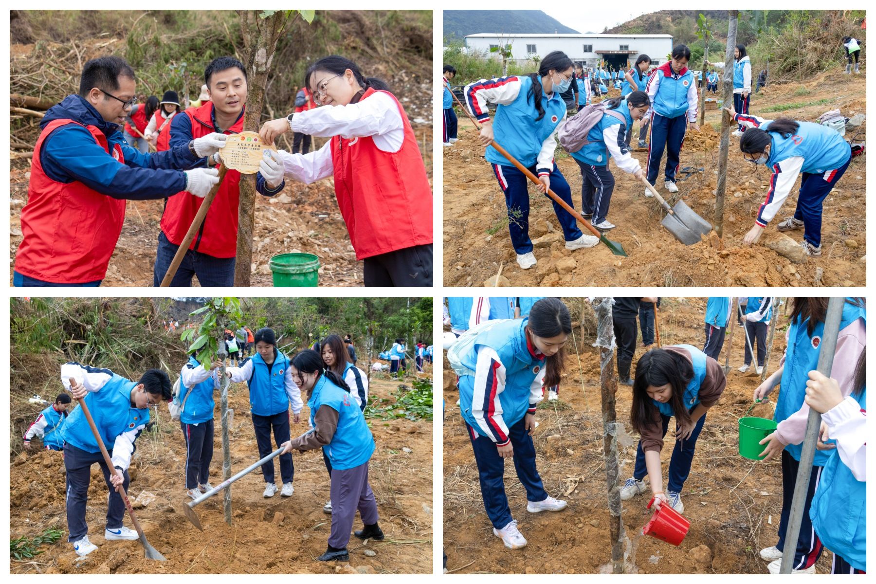 B93C5FF9D10A85C66023591FA5D_23571B26_88328