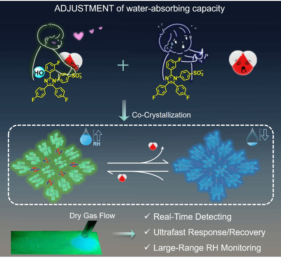 0143A8ECAB3106EB5A2AD6E9A02_2F0BD14C_246E7