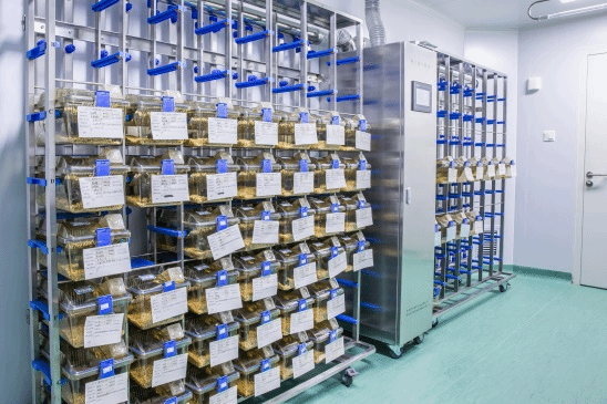 761FF278C7DBFA9085EA2D61323_885B940A_21014 761FF278C7DBFA9085EA2D61323_885B940A_21014