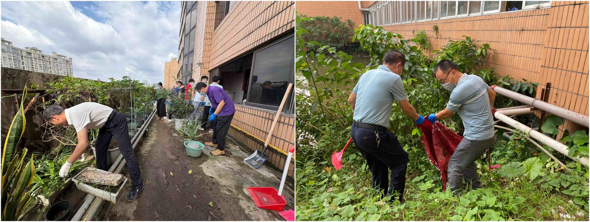 10EA661295F9469113CF8E977FE_0AA4F20B_6A851