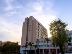 0E4CD854798FC24DBA18A0A9E69_B117586A_38397