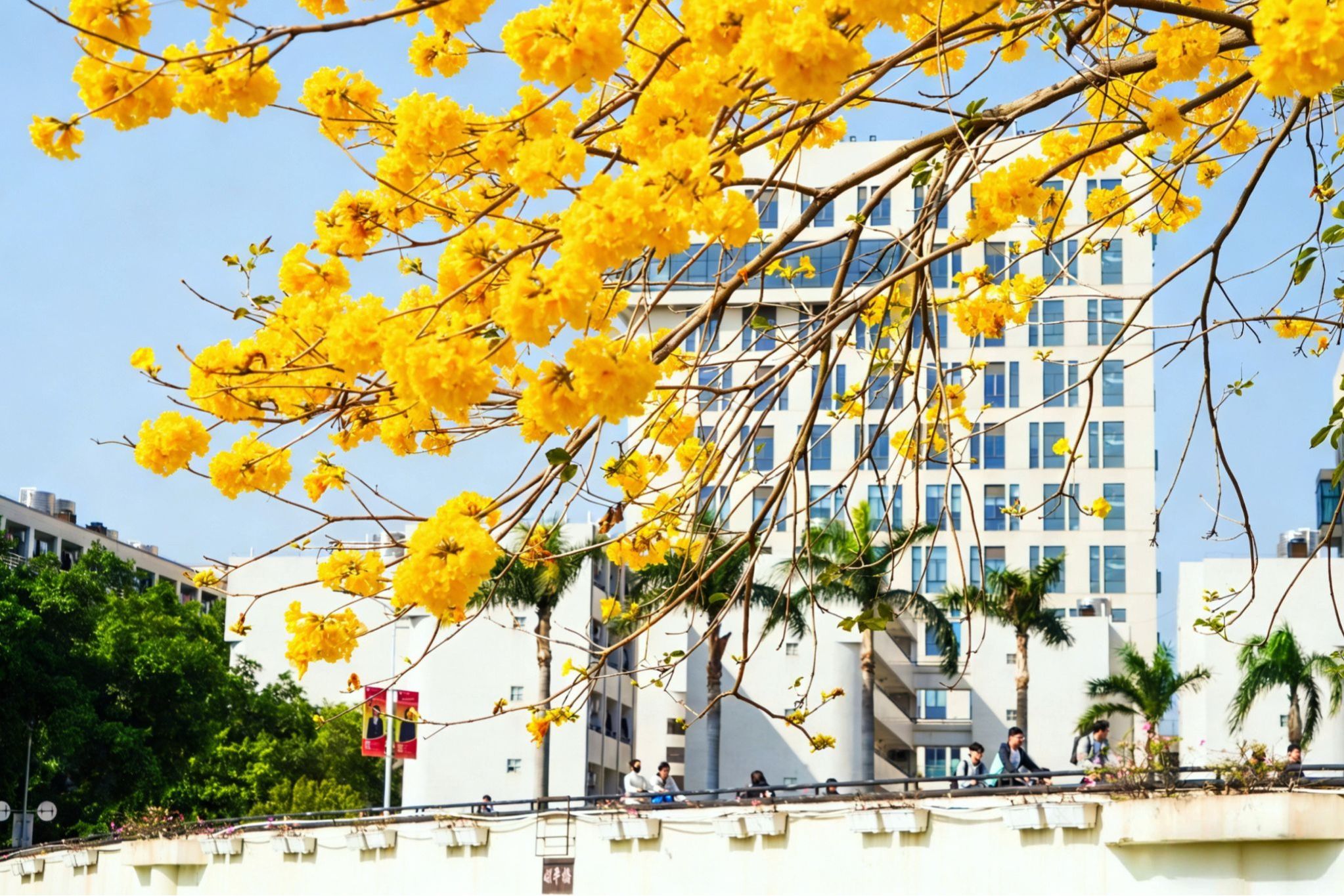 ������ů��ľ��