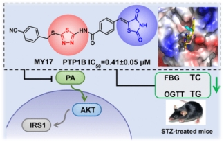 8D7A97321A89AB0F2C6C674A4D5_F0B8D74B_DB58