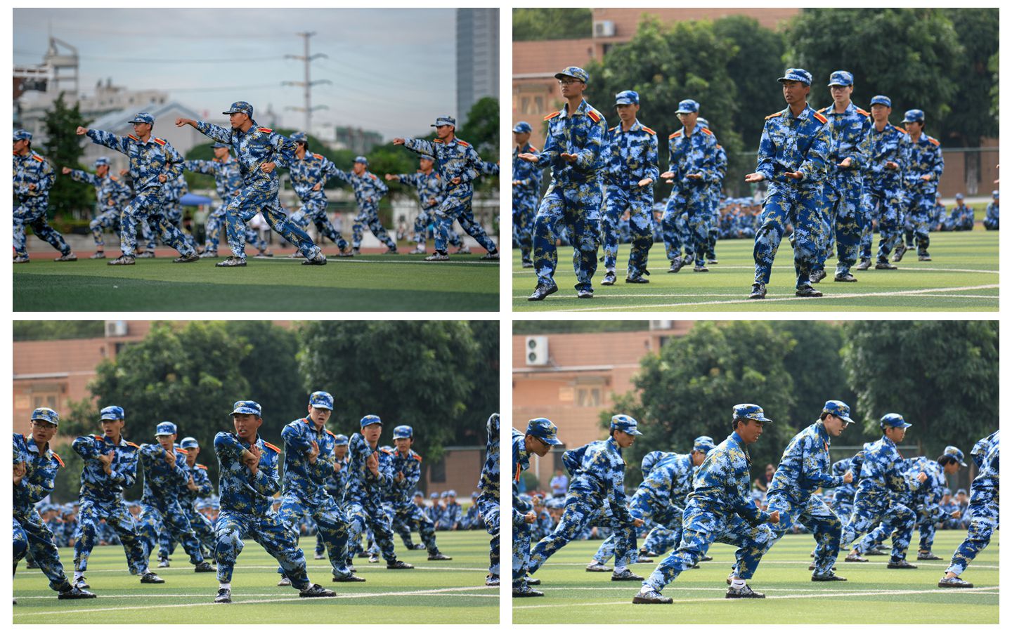 678BF8754DDDE1D0E0819B3B17B_A333D174_49BED