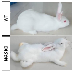 C6BF3B86465542499065BAB2EBE_E6F7DC72_35A17