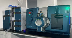 09A48754D1018030A106333E707_963CFE26_28281