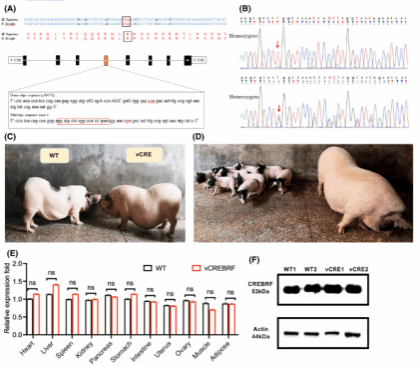 B4C61DBB5F05A5149AC82E18B4D_33BFFD07_CCC2 B4C61DBB5F05A5149AC82E18B4D_33BFFD07_CCC2
