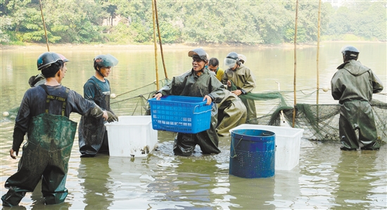 B8A0FD73ED302DCF5F9E30085B4_038A4743_2BCAD