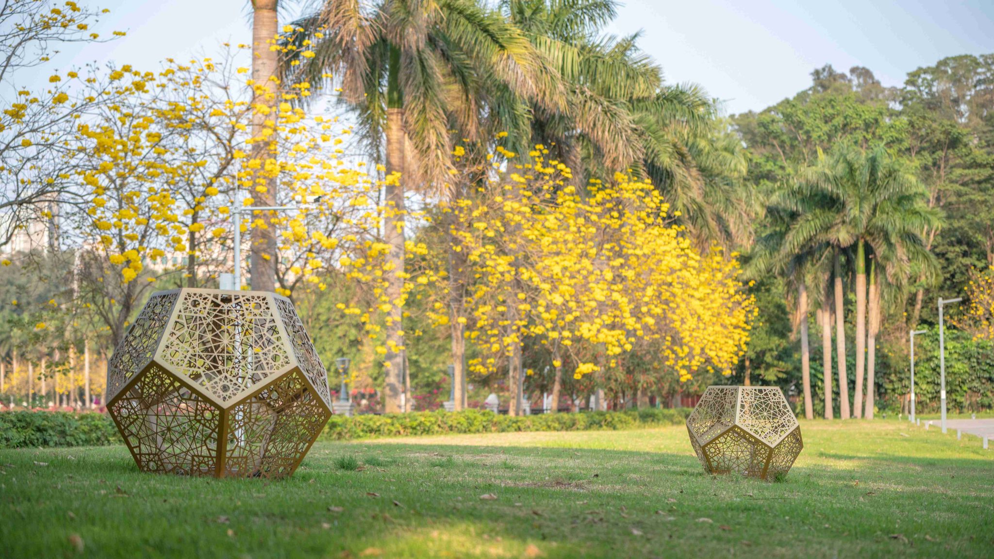 Ҽ������app����(�й�)�ٷ�������