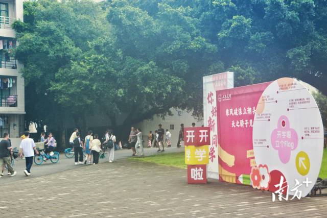 ���Ӵ�������չ��鲼У԰��ÿһ������������ 