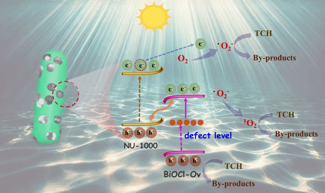 B10F804952ABA5B7D138ECBED28_35E1707B_586F6