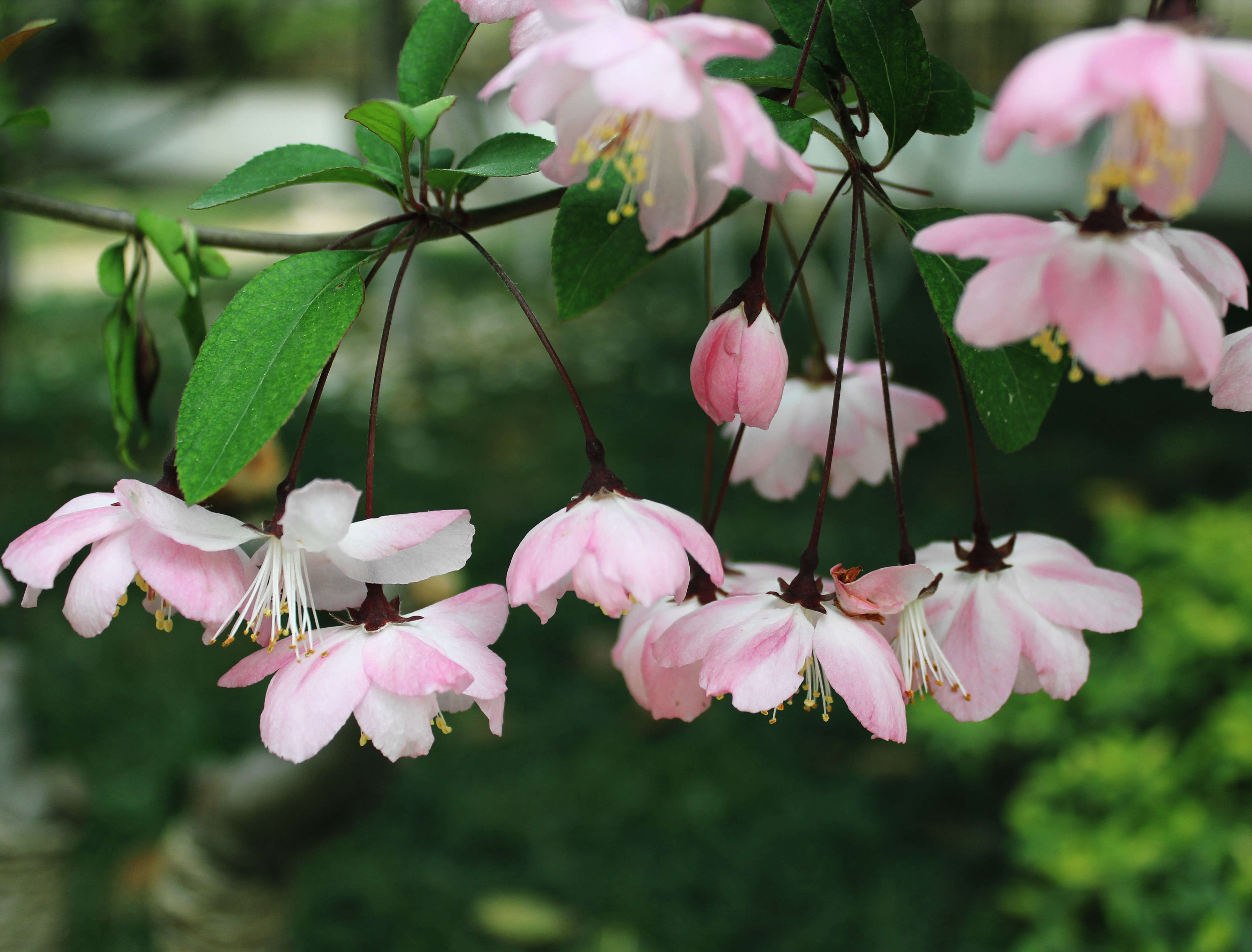 D83B36FF4DAD2522C8C2BA27436_B78CFEC8_23D2A1.jpg?e=