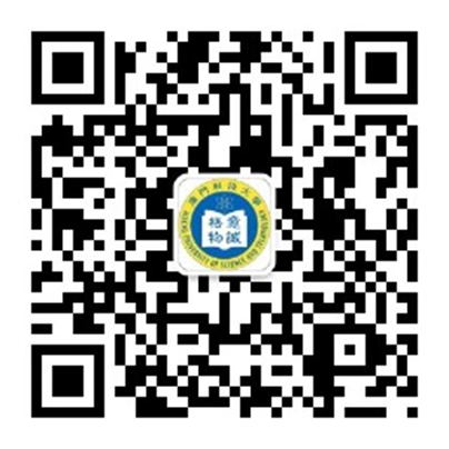 9874C630703EE7EC06C2B030268_5C85CC30_18B1D