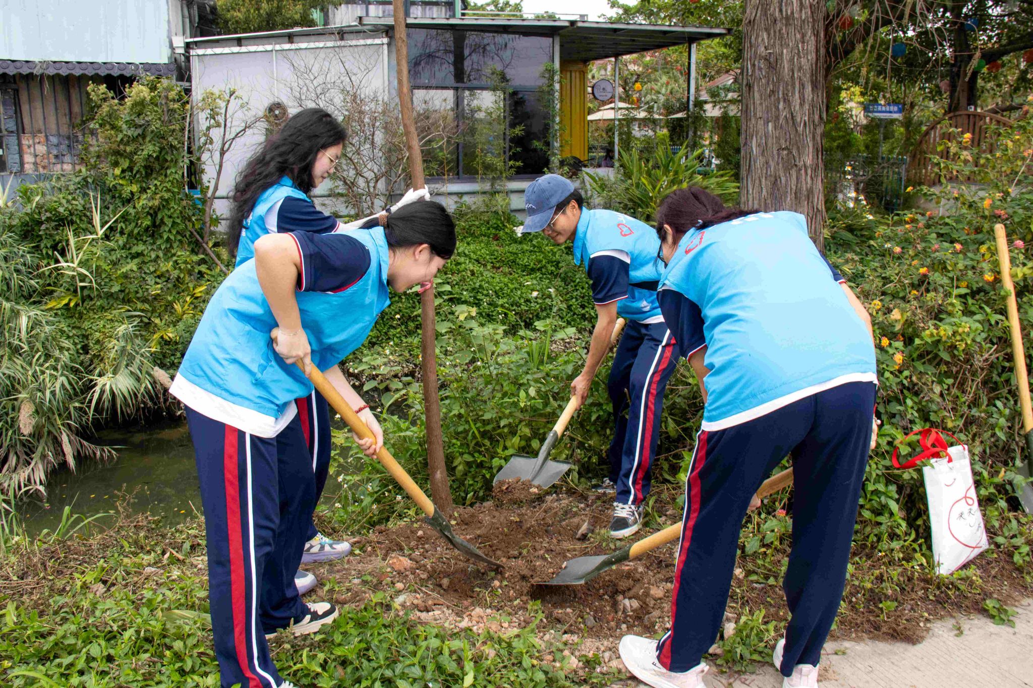 B590BA57ADA28FA4010CA0431BB_D5830E40_AAEC9