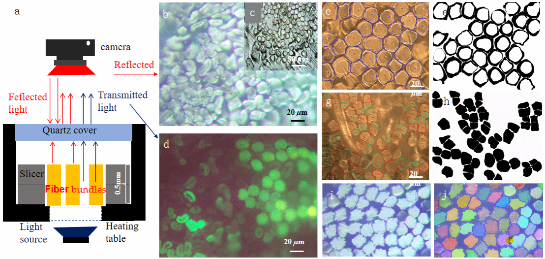 10D62E6F3858F614E502B88C8A1_CE309363_364DD