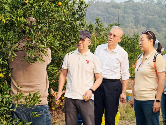 3FDD6BF4B22BED0B924E35CF341_E80EE793_DED82