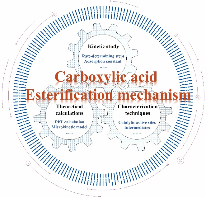 D526EFEF32E5BB78D095AC38F47_F207405B_22193