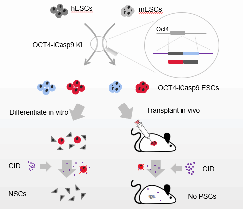 F90493F7B8FE640C303A41B0AC6_736EEC5A_3FAC