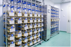 ADDAB8929605F362FF302869C88_36152481_259E5