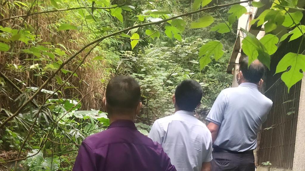 559A94A23A51CC6C957057EF053_8C4613D9_2128F