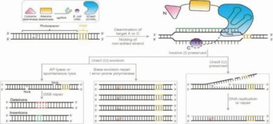 060A028E04F68051343DB06DD7C_997308F5_D1EF