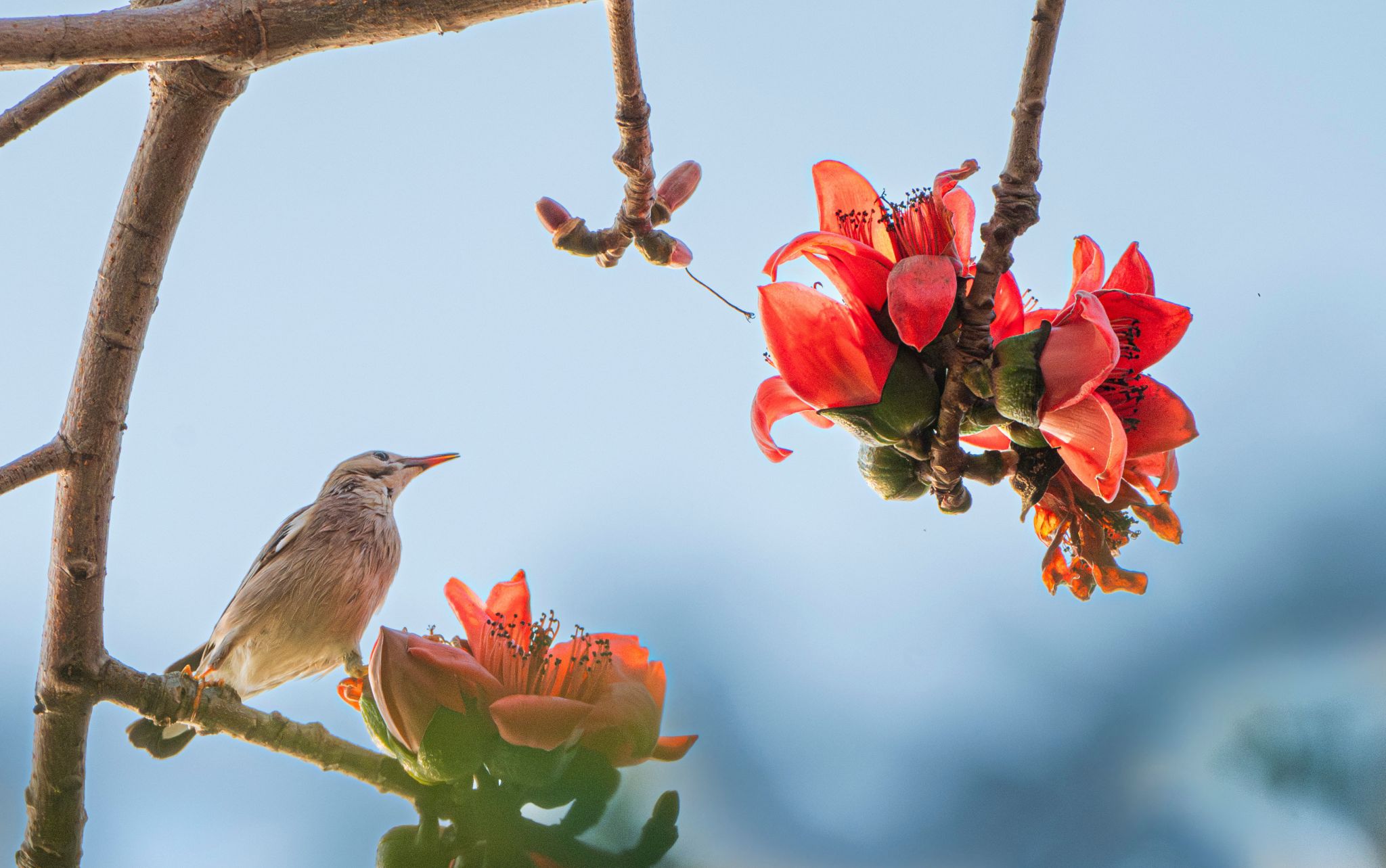 F72714E9204F42125C70E006D16_6C055EBD_3EE4F