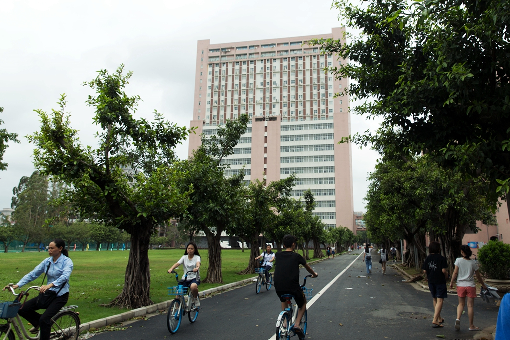 7412422923FA0B4B0B8C76F7F1E_4E6719E6_A5791