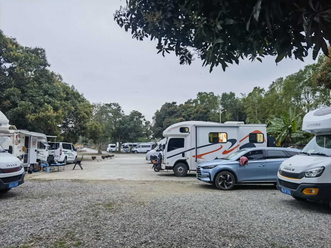 0952A5E8B2BB3C2926313BB2024_A08DF13E_33A74