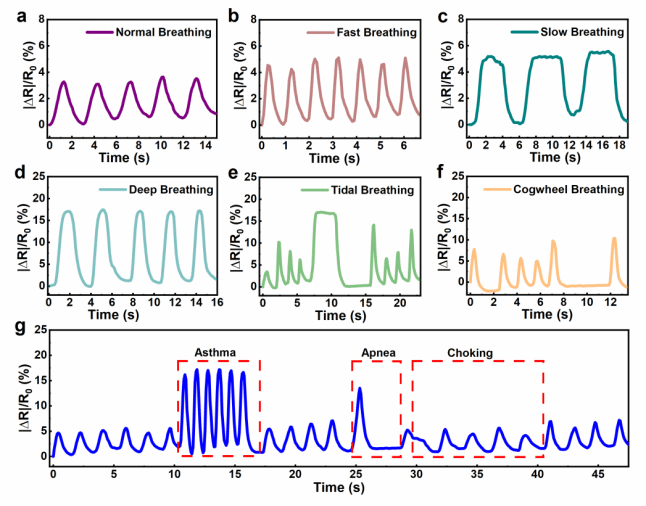 A48321AC47955DF6486E085F555_A9775259_C21F