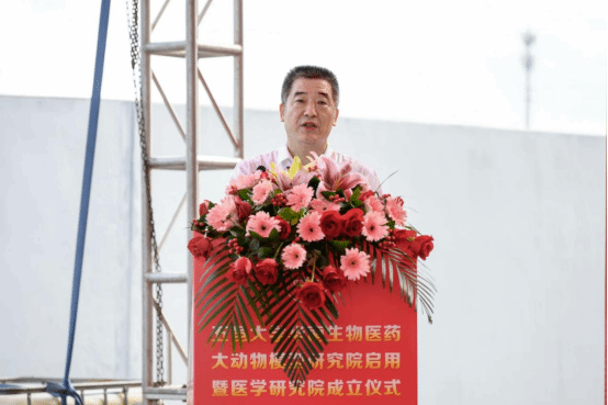 9DD61379D05A7BD47930B3A254E_705302C6_114EB