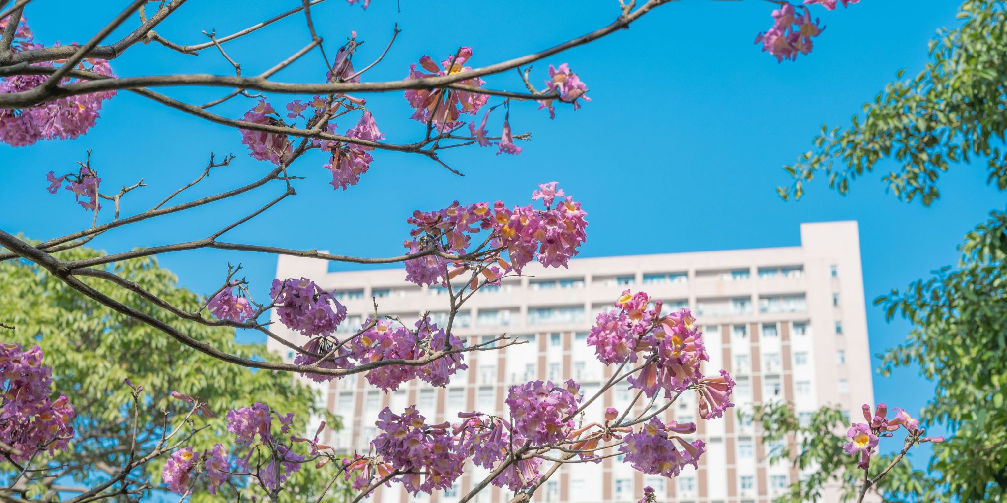 5B24473D937547A5CA444467C70_08548EFC_56265