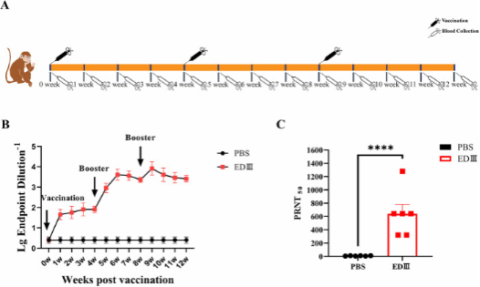 84C6340FE63D49D763D1E2BCB78_1050B3D9_6032 84C6340FE63D49D763D1E2BCB78_1050B3D9_6032