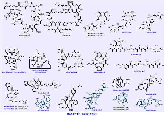 7ADD8848676D3A956037DA6F91C_677611D0_7775