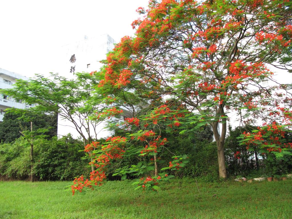 Ҽ������app����(�й�)�ٷ�������