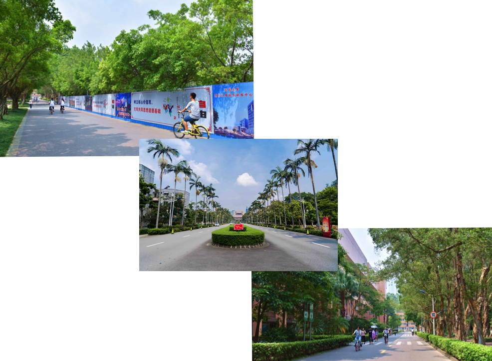 EABBFA4B1D5DF9E00DCCF00BC87_A41BCF6E_58E2E