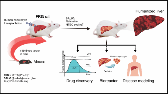 13A9E983DC3AE98A69D551D9D7A_2FE89896_61FF