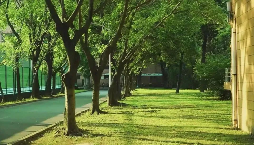 Ҽ������app����(�й�)�ٷ�������