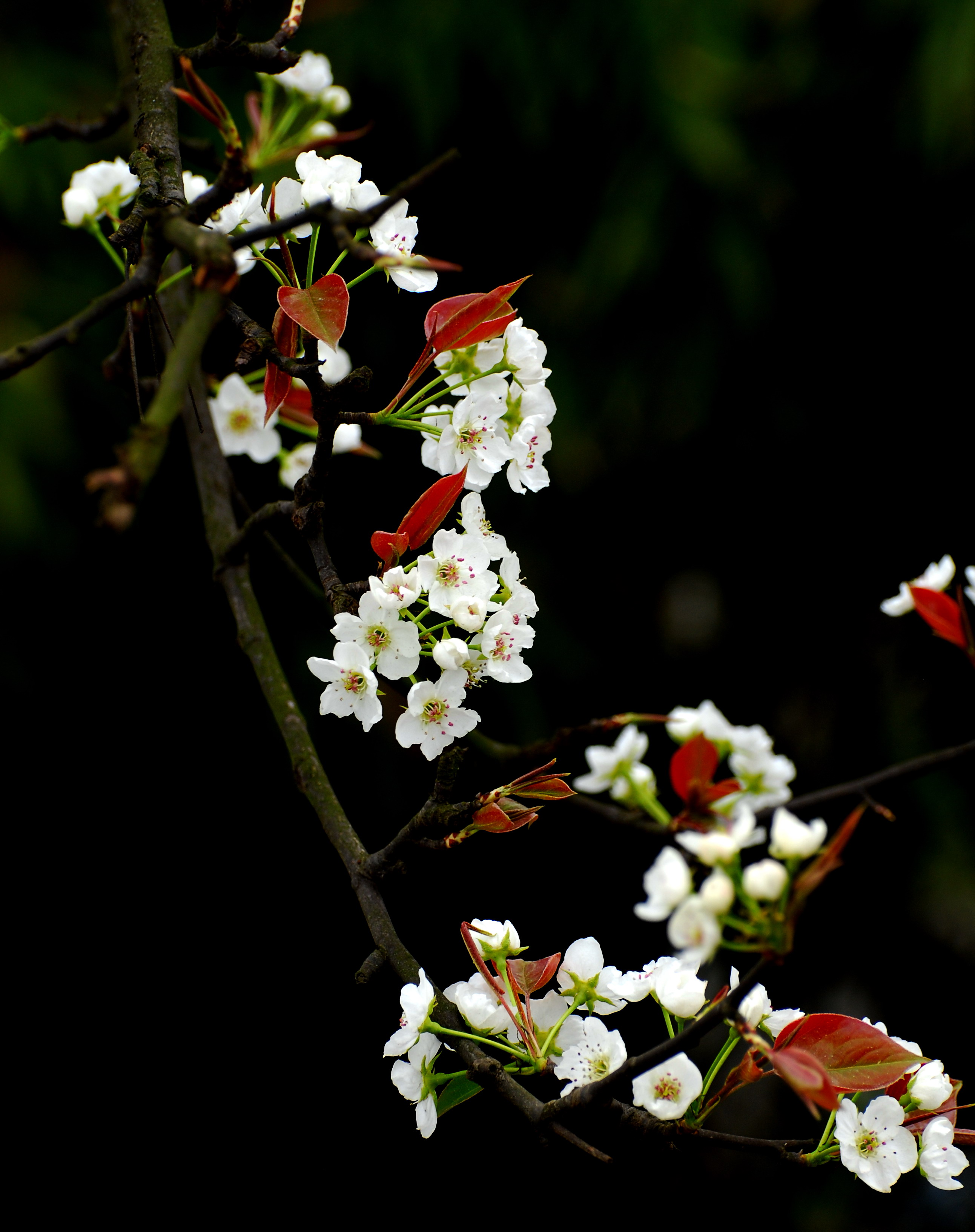 4EA16F77E5082BA8FF49E05FDDC_638118B6_D1A24.jpg?e=