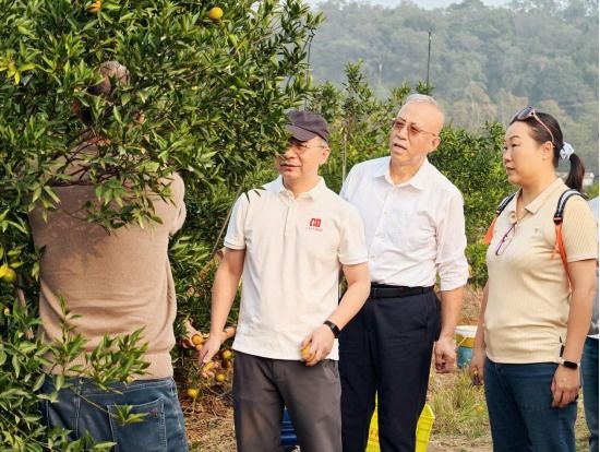 E53C382745FD0C53AB129634DE2_2018AC35_FA00