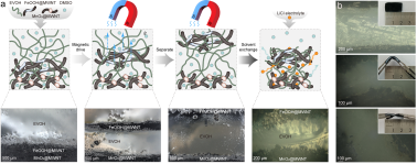 1A97EEAC7FF378DA70FEA75D4B9_213F42B3_37258