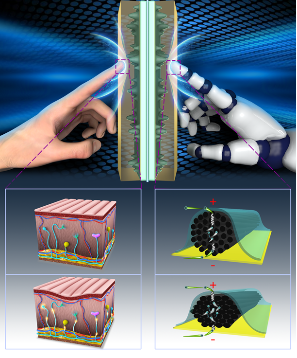 7D865CC91284DEA4758B0B7E6F5_D82D3679_1B8C97