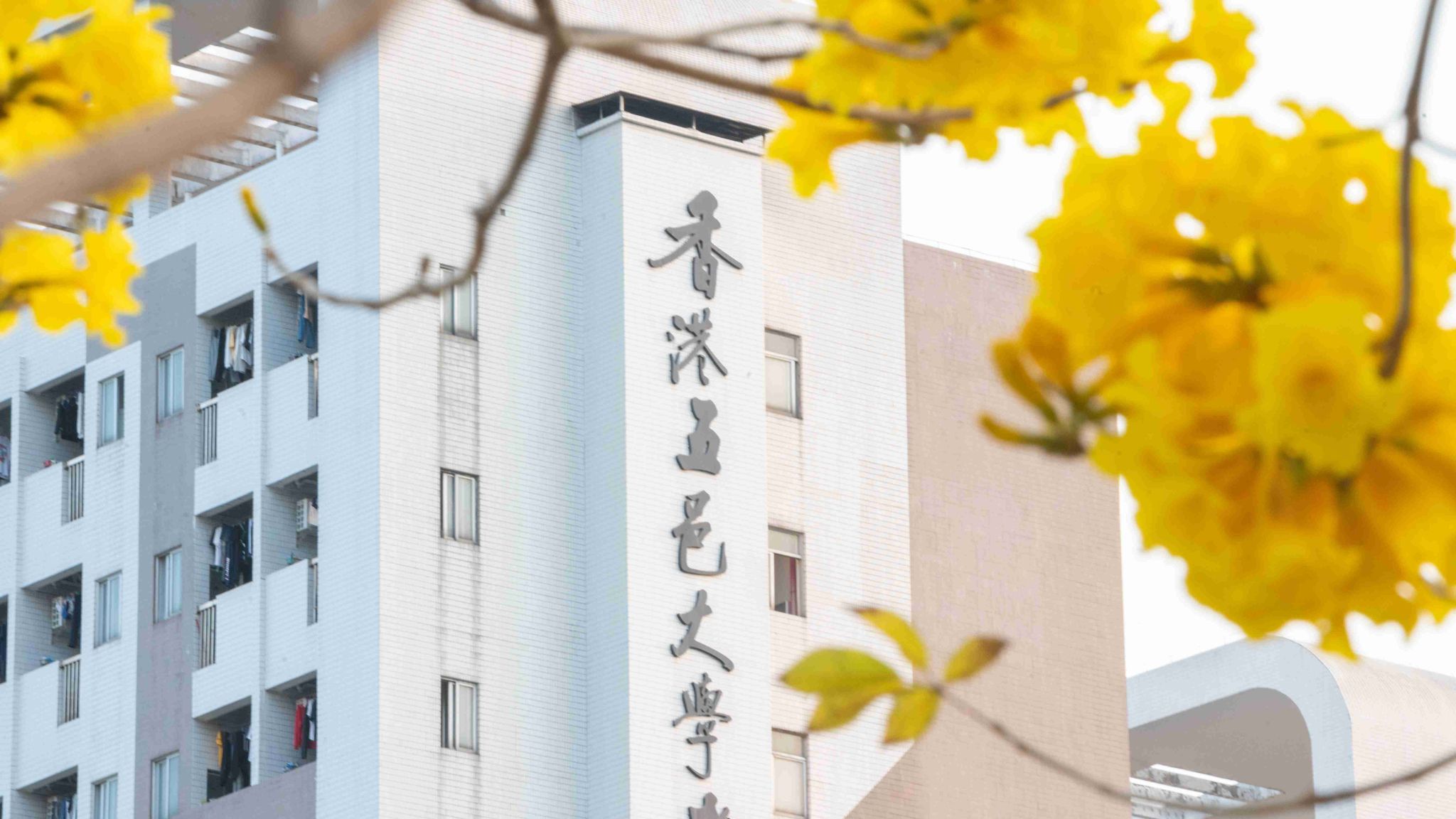 Ҽ������app����(�й�)�ٷ�������