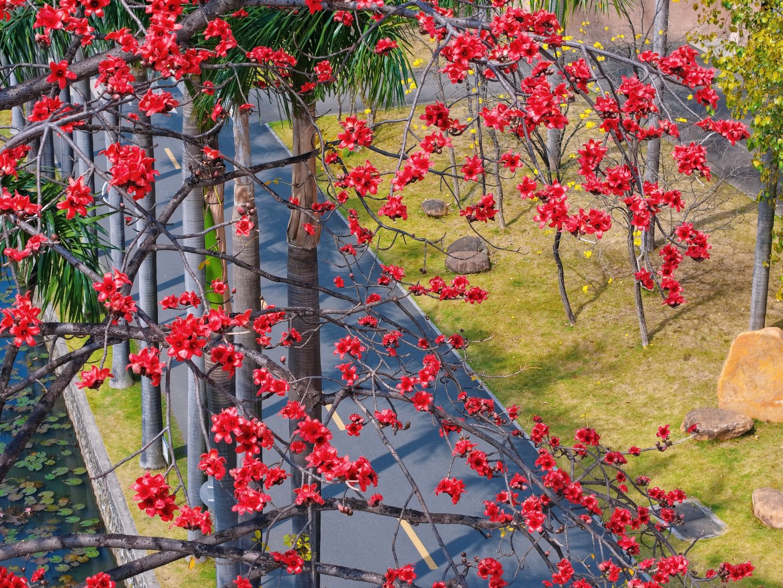 Ҽ������app����(�й�)�ٷ�������