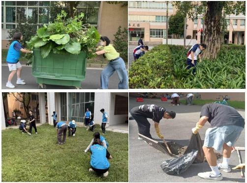 CC6AD50B05854629A9C7E4FF931_20C4A459_16924