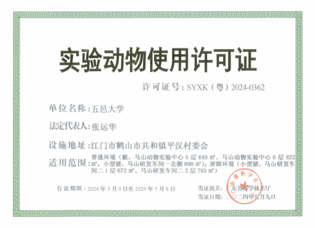 067F6D2268DE353E45858E12D13_F4F1EE59_A997 067F6D2268DE353E45858E12D13_F4F1EE59_A997