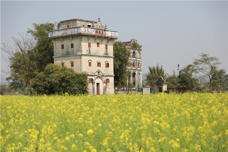 F646BF57DC74CB84808233C6E3B_CD967E0C_2778B